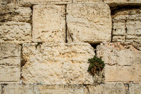 The Western Wall on the Temple Mount in Old City of Jerusalem, Israel. Close-upの写真素材