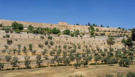 View of the Golden Gate or Gate of Mercy and olive garden on the east-side of the Temple Mount of...