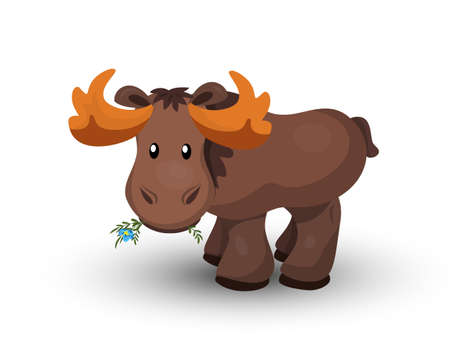 Vector illustration of mooseの写真素材