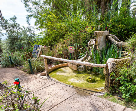 Garden of the Church Of The Beatitudes where Jesus preached the Sermon on the Mount.の写真素材