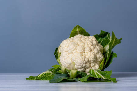 fresh cauliflower with leaves isolated on a white table and blue background.の写真素材