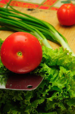 Tomato, green onion and saladの写真素材