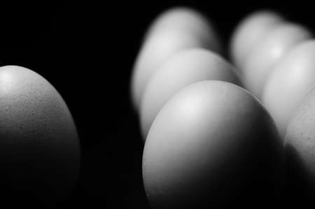 Black and white chicken eggsの写真素材
