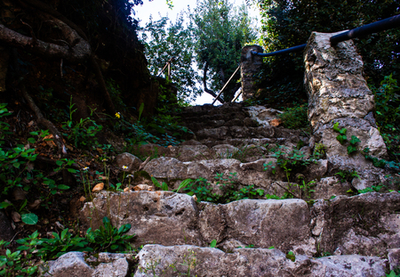 Stairway stones with plants in saint-paul-de-Vence France