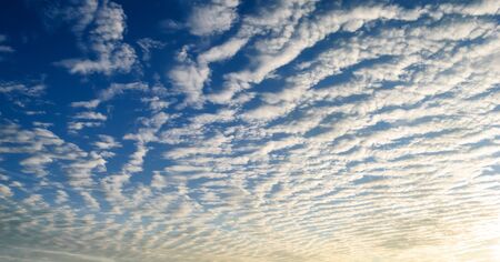 cirrus clouds over the forest at sunset.の写真素材