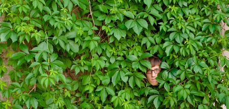 A young man among the thickets of ivy 