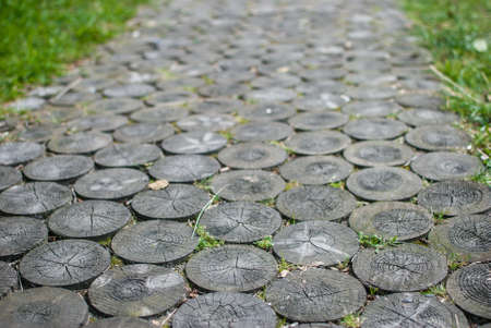 Sidewalk paved with slices of old trees.の写真素材