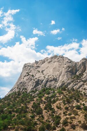 Mountain against the sky with trees on the slopeの写真素材