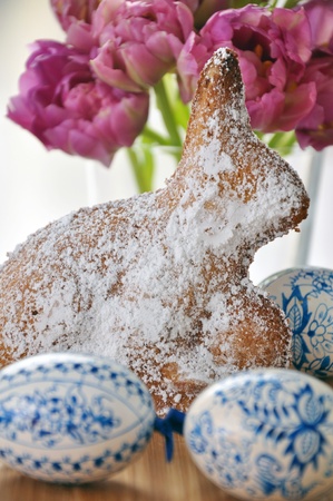 Easter bunnyの写真素材