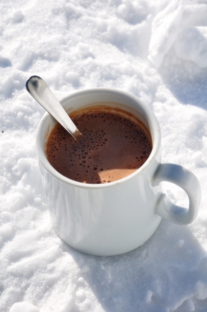 Cup of cocoa in the snowの写真素材