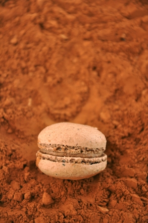 Chocolate Macaronsの写真素材