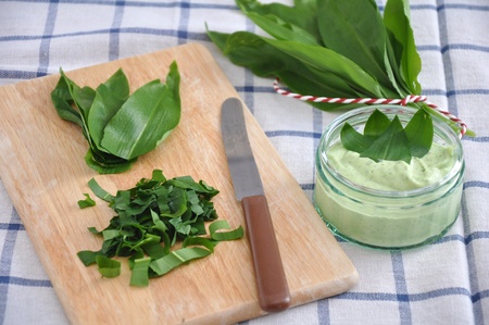 Fresh wild garlic Allium ursinumの写真素材