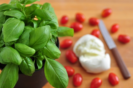 ingredients for caprese saladの写真素材