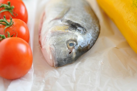 Gilthead Seabreamの写真素材