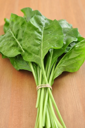 Chardの写真素材