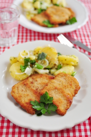 Wiener Schnitzelの写真素材