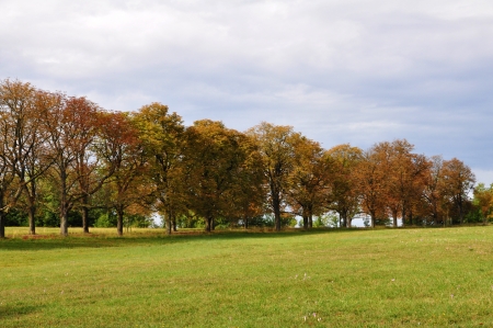 Autumn Landscape in Austria, Europeの写真素材
