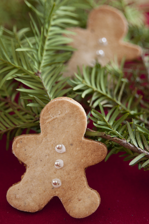 Gingerbread Man Cookies
