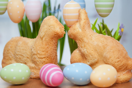 Easter Bunny Cakeの写真素材