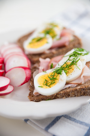 Bread with egg and red raddishの写真素材