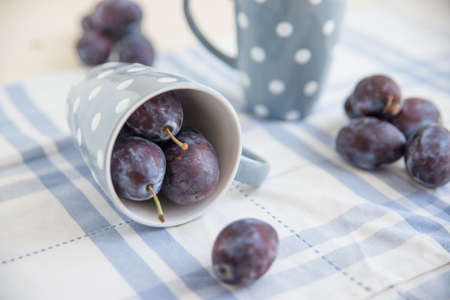 plumsの写真素材