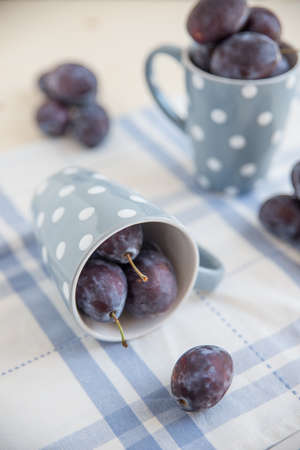 plumsの写真素材