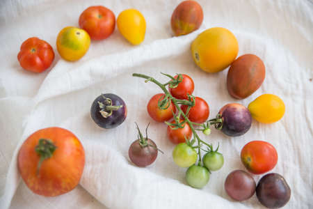 Tomatoの写真素材