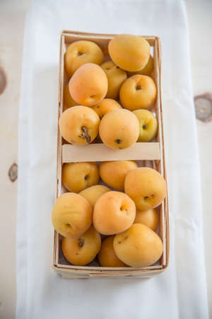 Apricotの写真素材