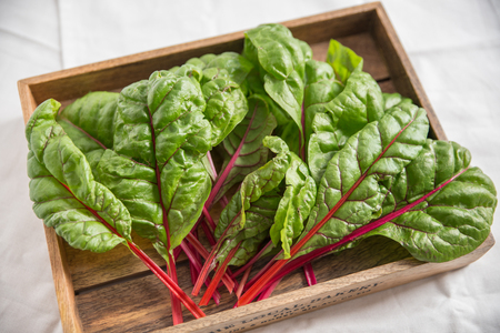 Chard leafy green vegetable