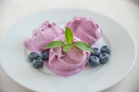 Blueberry ice cream dessertの写真素材