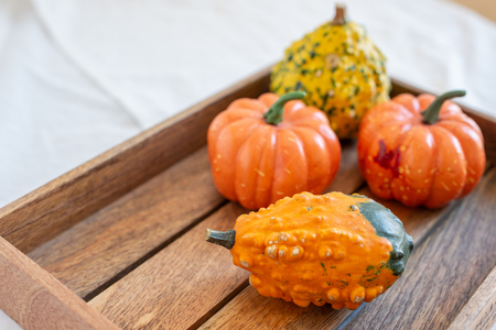 Decorative pumpkins with autumn leavesの写真素材