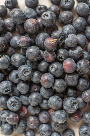 Freshly picked blueberries in a bowlの写真素材