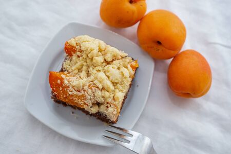 Chocolate Apricot Cakeの写真素材