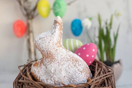 Easter bunny and Easter Lamb cake with easter eggsの写真素材