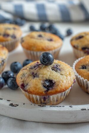 Home made blueberry muffinsの写真素材