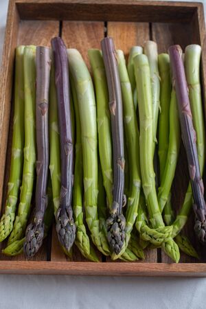 Asparagus. Fresh asparagus. Green asparagus. Bunches of green asparagusの写真素材