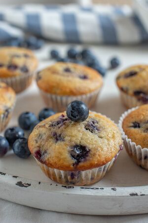 Blueberry Muffinsの写真素材