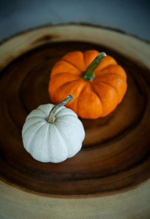 Two Autumn gourds, one white one orange, on a wood platter with a shallow depth of focus.