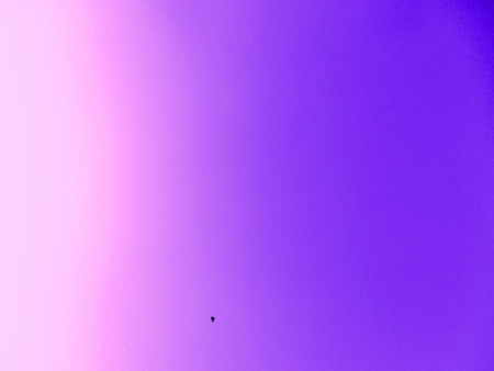 purple skyの写真素材