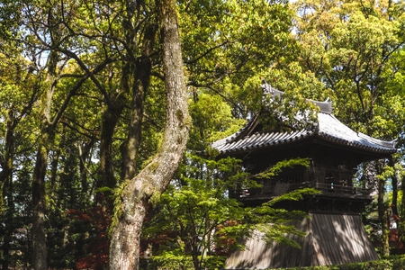 Templeのeditorial素材