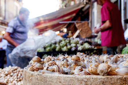 A live snail, a delicacy on street market tradeの写真素材