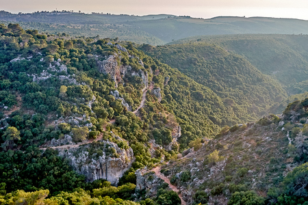 Beautiful summer landscape in the mountains with the sun at dawn