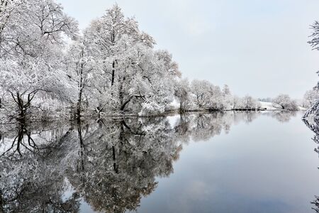 winter forest in the snow and river winter forest tree landscapeの写真素材