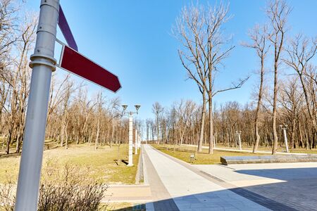 Blank arrow direction indicator on a background of trees on a sunny dayの写真素材