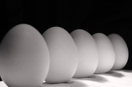 Five Chicken eggs stand in a row on a black backgroundの写真素材