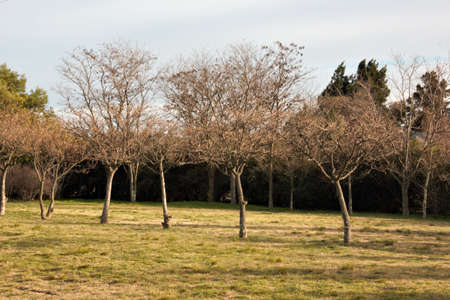 a landscape near my city in bahia blancaの写真素材