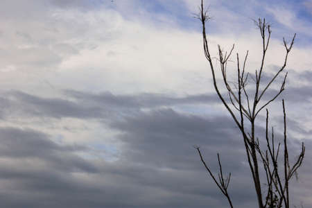 a threatening sky peeks out the windowの写真素材