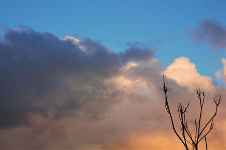 a stormy sky announces a possible rain in the winter