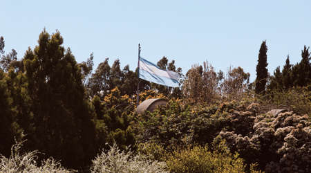field of trees with the Argentine flag in the background