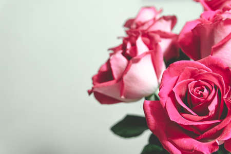 Beautiful flowers with space to place textの写真素材